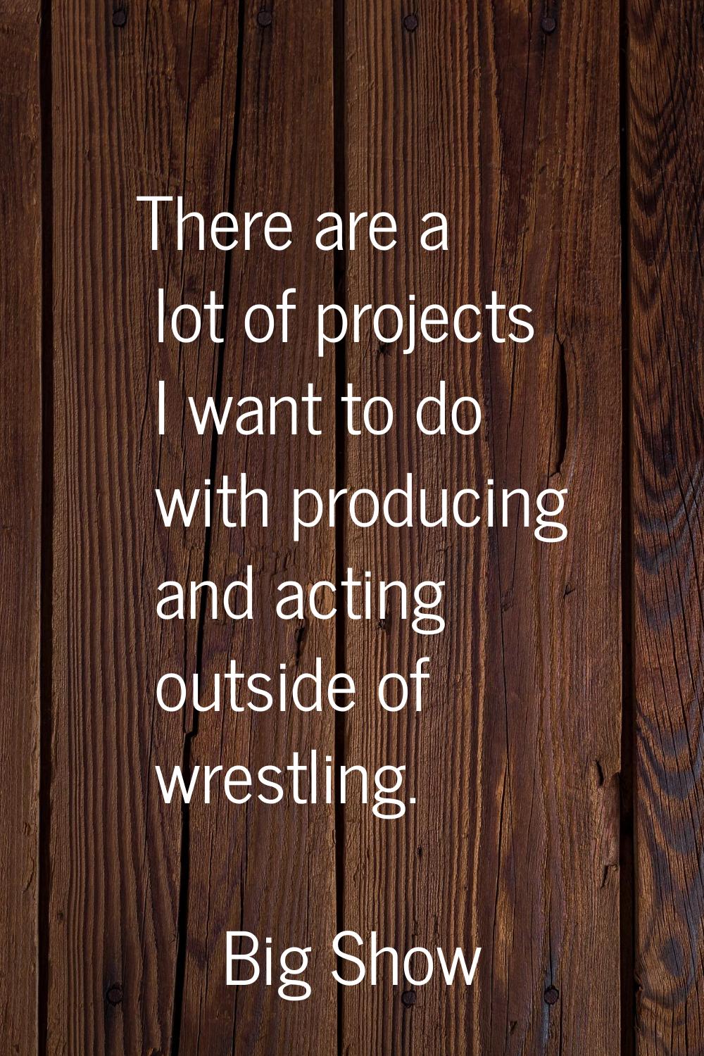 There are a lot of projects I want to do with producing and acting outside of wrestling.