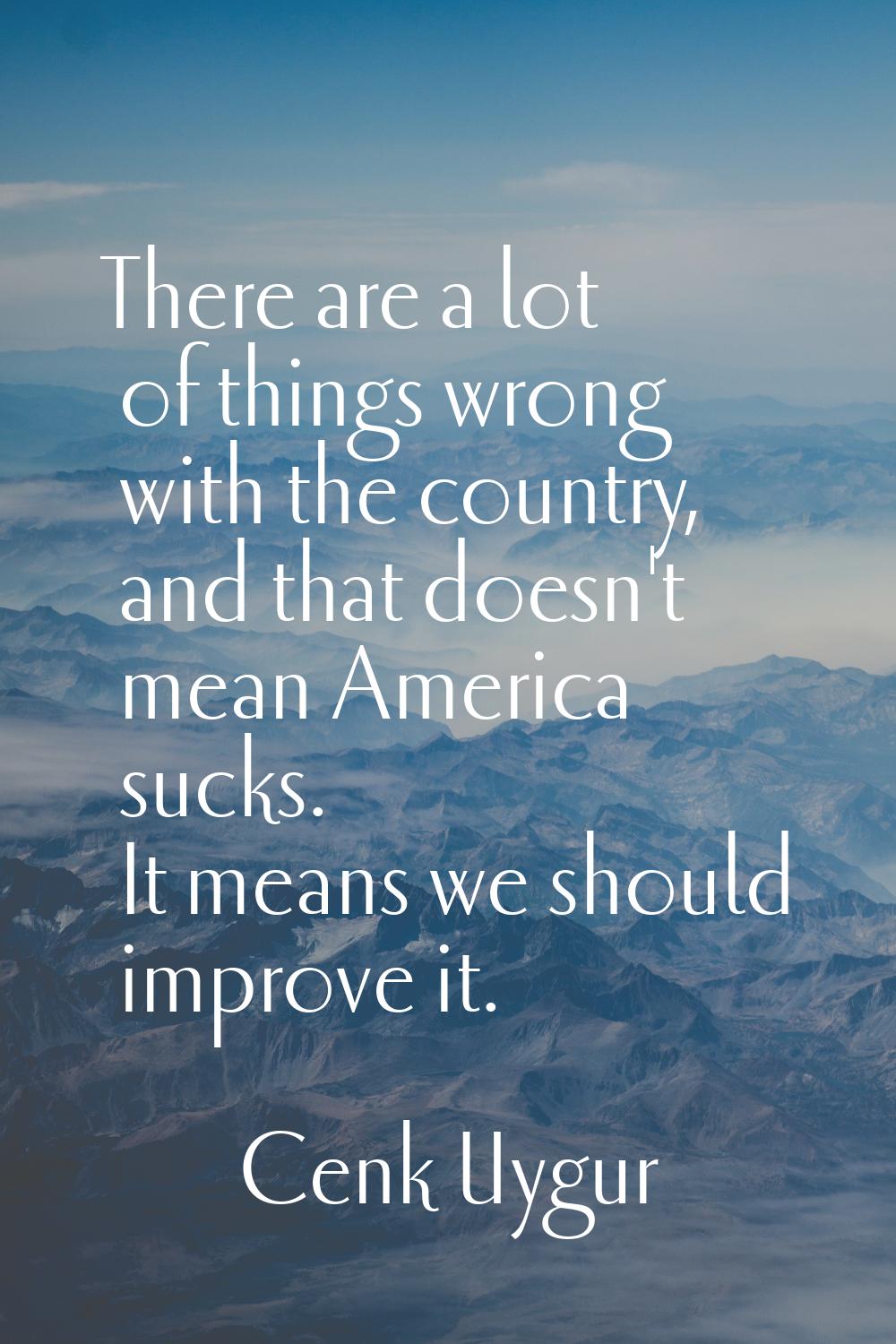 There are a lot of things wrong with the country, and that doesn't mean America sucks. It means we 