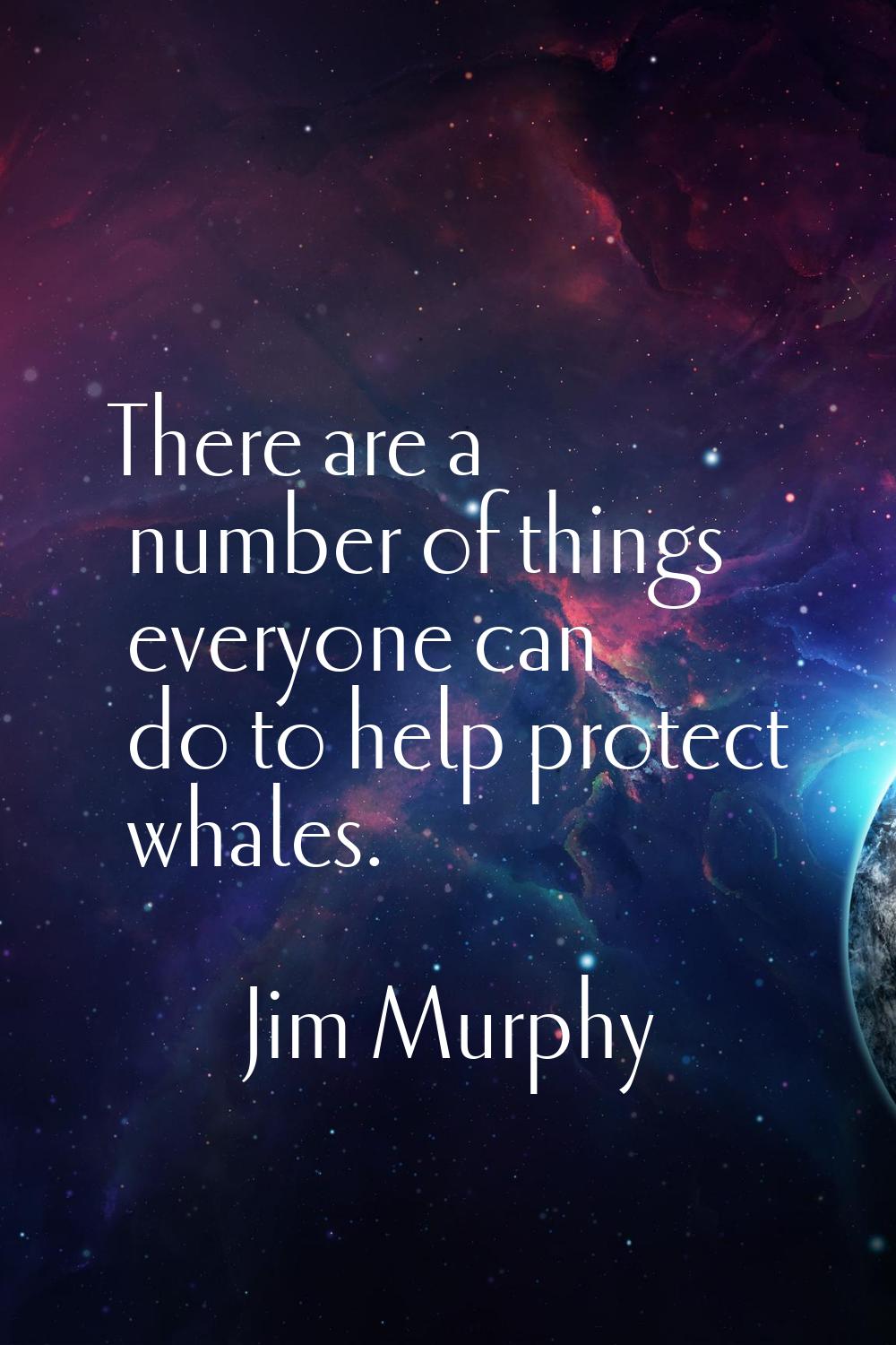 There are a number of things everyone can do to help protect whales.