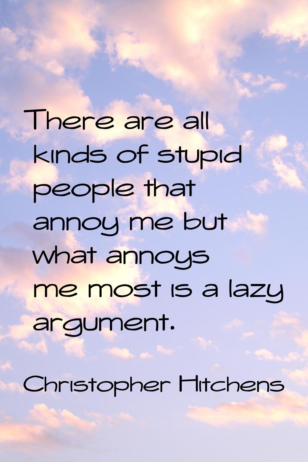 There are all kinds of stupid people that annoy me but what annoys me most is a lazy argument.