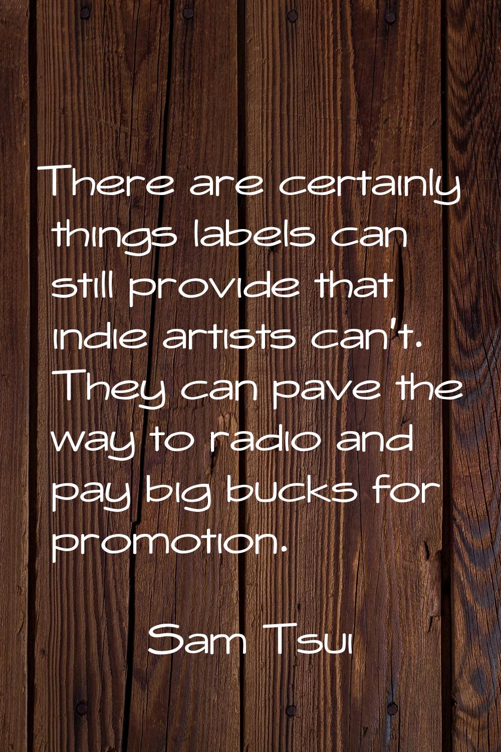 There are certainly things labels can still provide that indie artists can't. They can pave the way