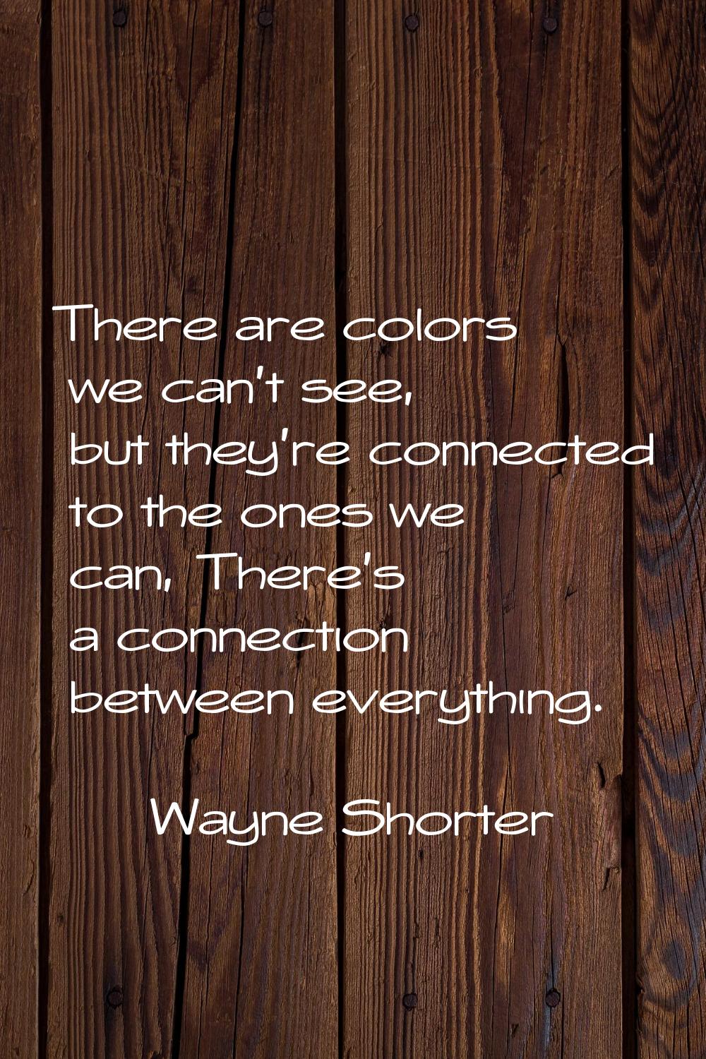 There are colors we can't see, but they're connected to the ones we can, There's a connection betwe