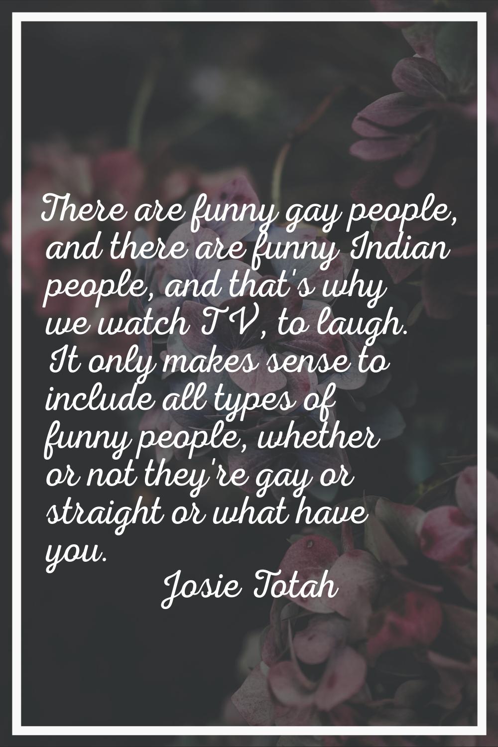 There are funny gay people, and there are funny Indian people, and that's why we watch TV, to laugh