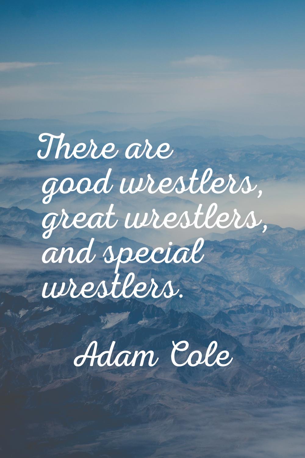 There are good wrestlers, great wrestlers, and special wrestlers.