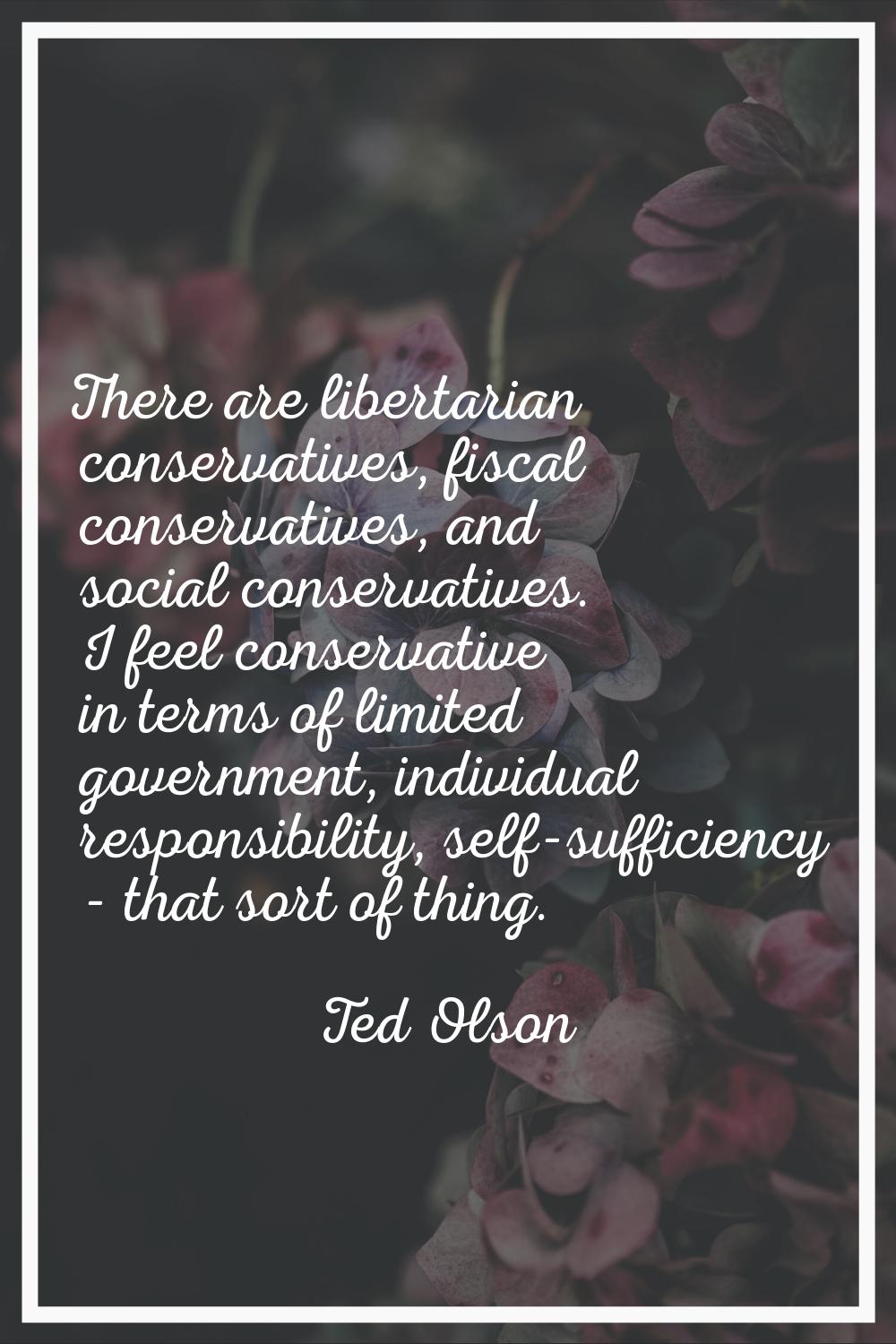 There are libertarian conservatives, fiscal conservatives, and social conservatives. I feel conserv