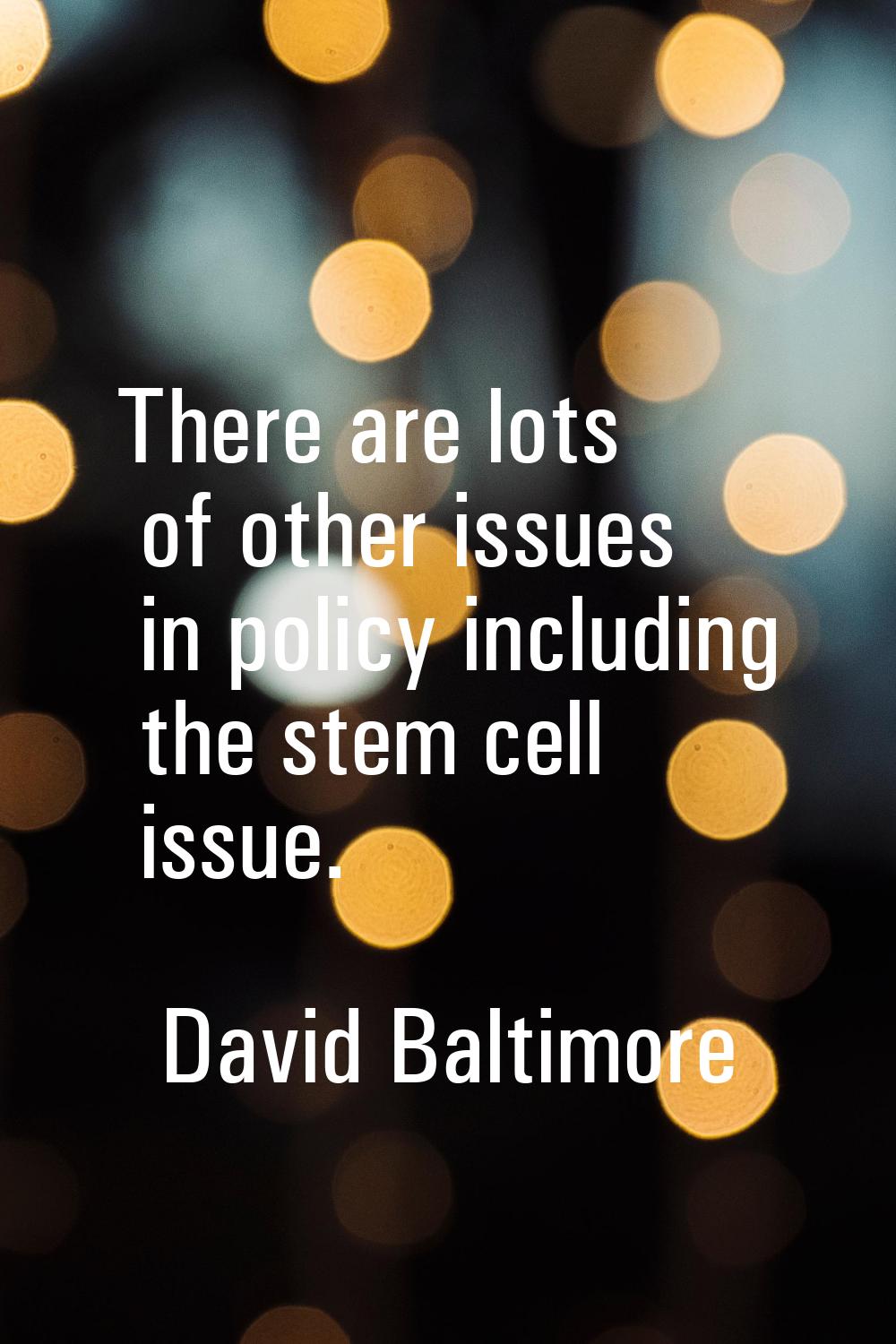 There are lots of other issues in policy including the stem cell issue.