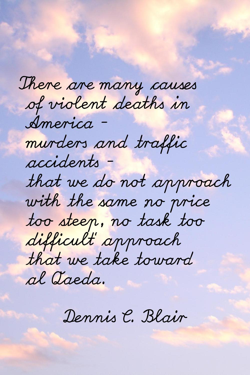 There are many causes of violent deaths in America - murders and traffic accidents - that we do not