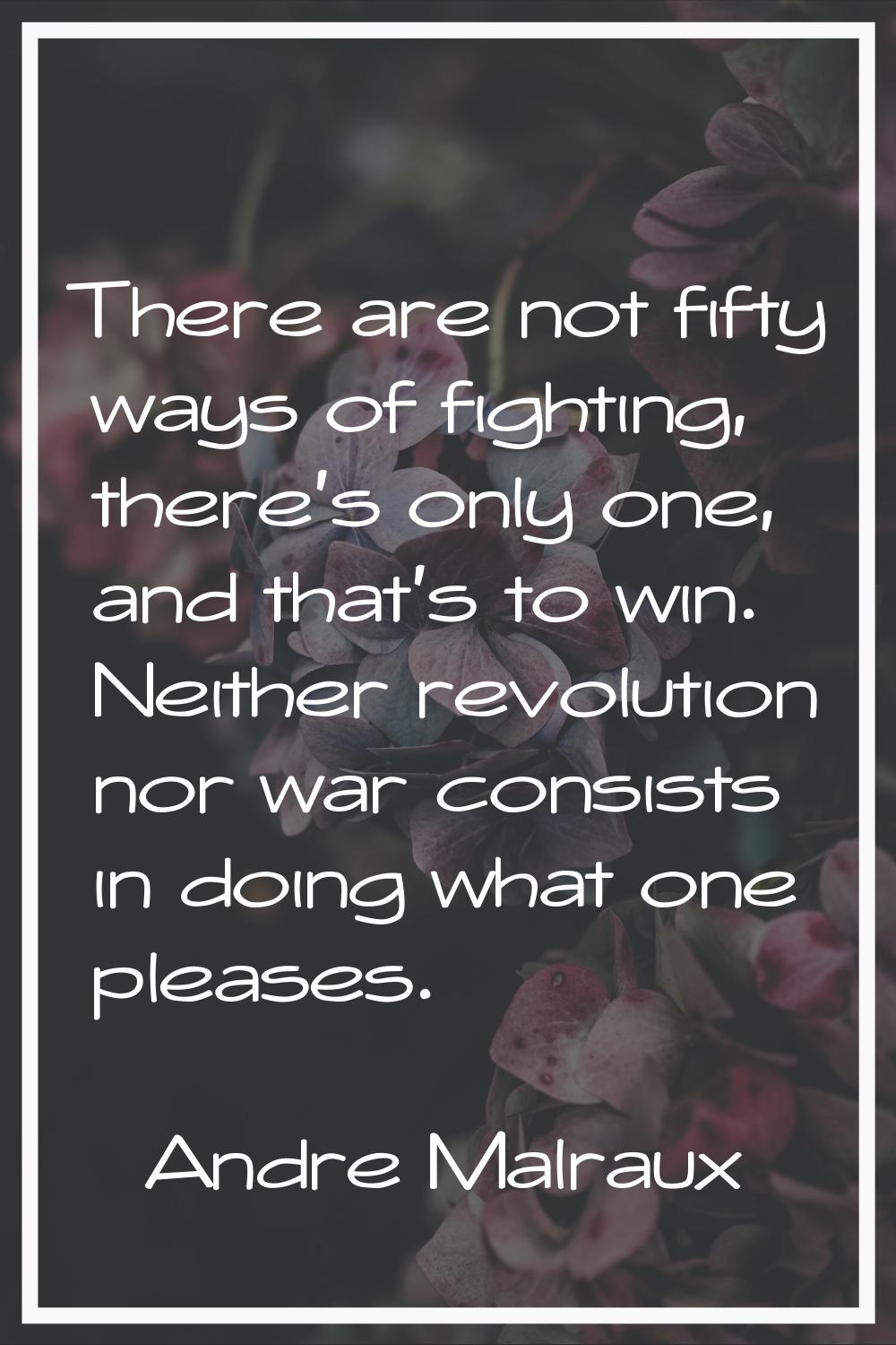 There are not fifty ways of fighting, there's only one, and that's to win. Neither revolution nor w