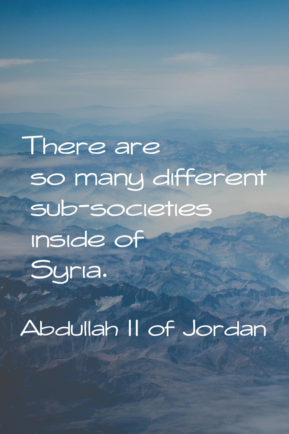 There are so many different sub-societies inside of Syria.