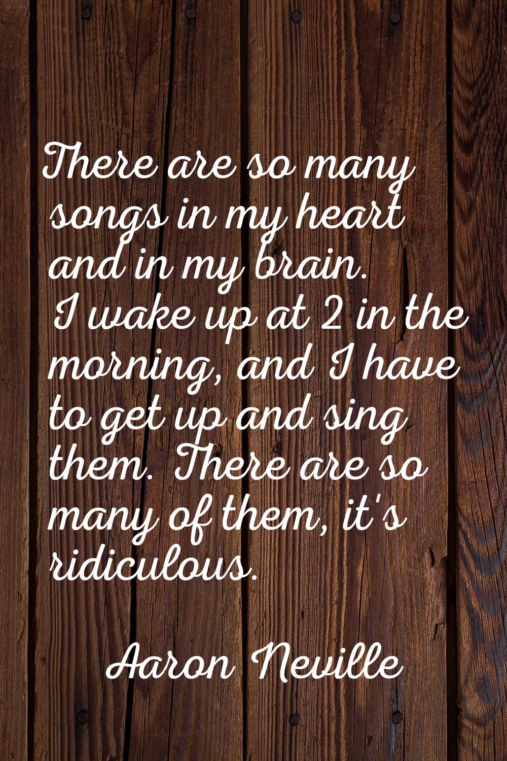 There are so many songs in my heart and in my brain. I wake up at 2 in the morning, and I have to g