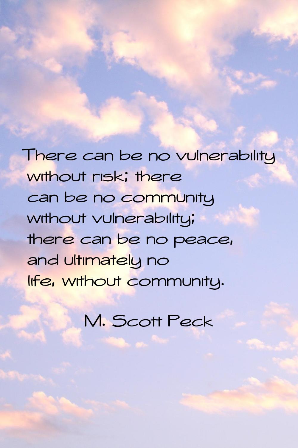 There can be no vulnerability without risk; there can be no community without vulnerability; there 
