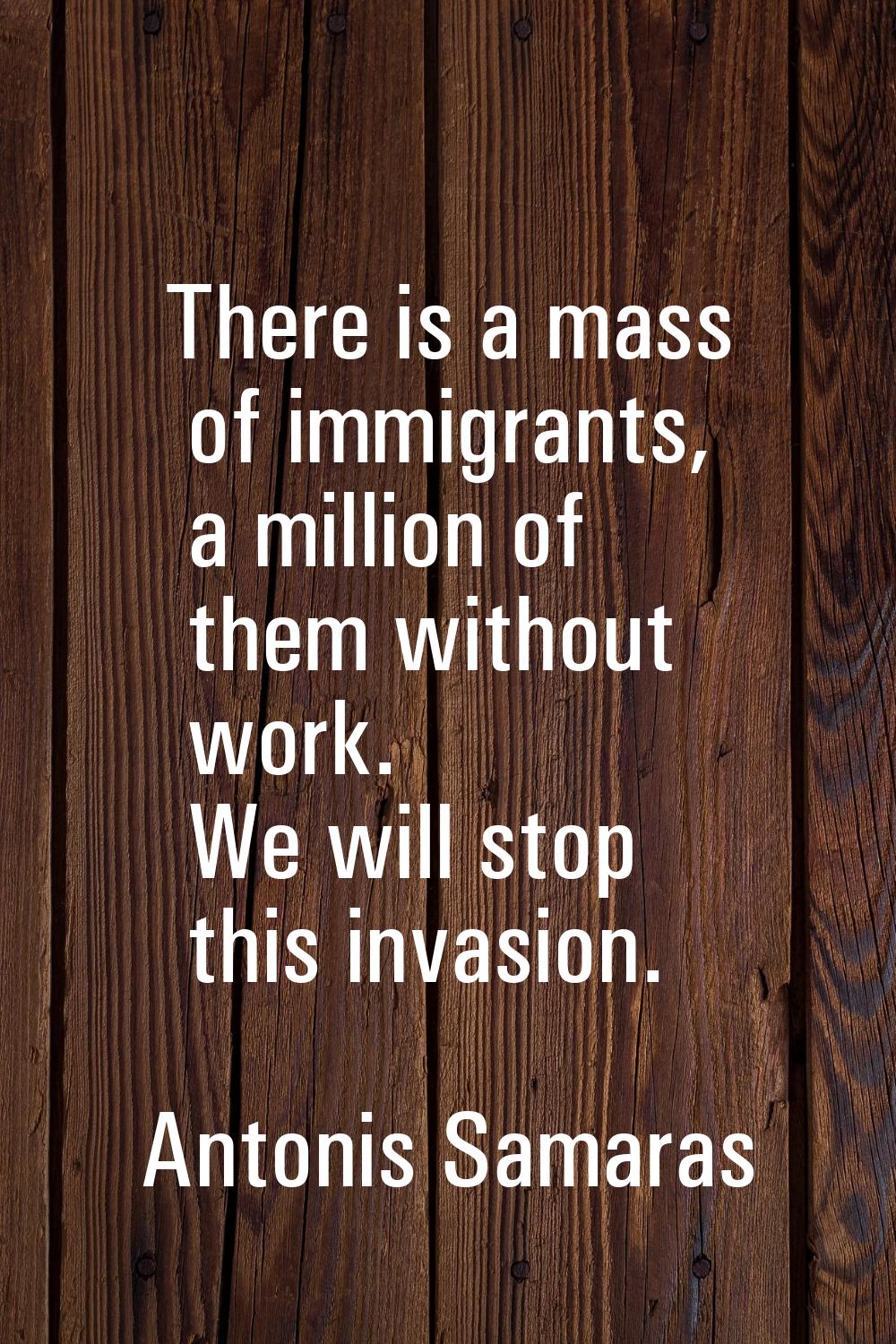 There is a mass of immigrants, a million of them without work. We will stop this invasion.