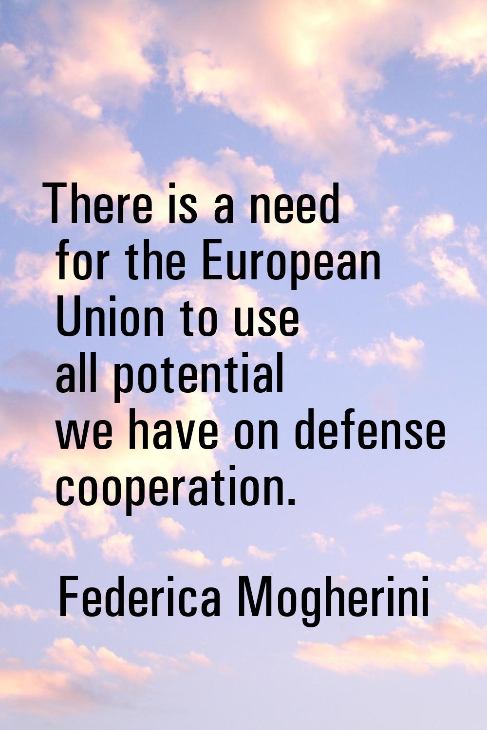 There is a need for the European Union to use all potential we have on defense cooperation.