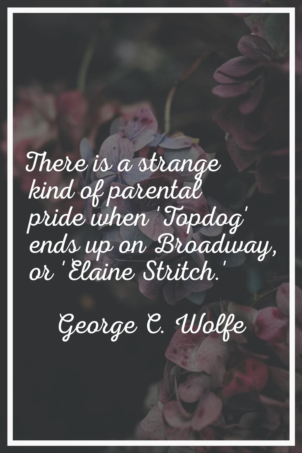 There is a strange kind of parental pride when 'Topdog' ends up on Broadway, or 'Elaine Stritch.'