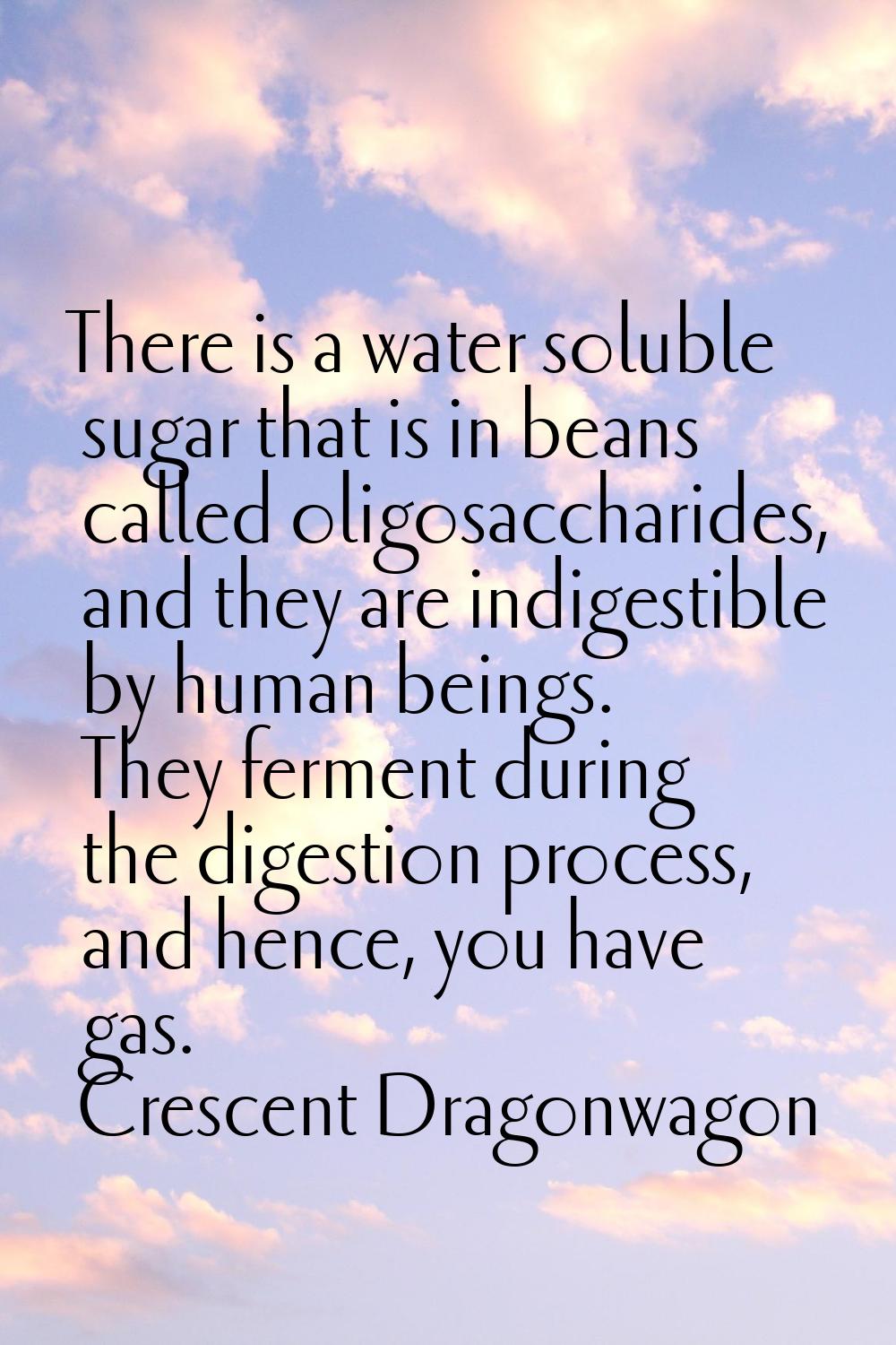 There is a water soluble sugar that is in beans called oligosaccharides, and they are indigestible 