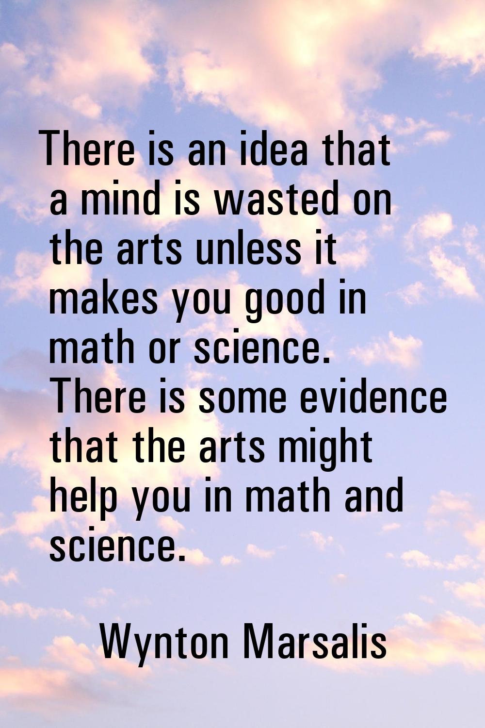 There is an idea that a mind is wasted on the arts unless it makes you good in math or science. The