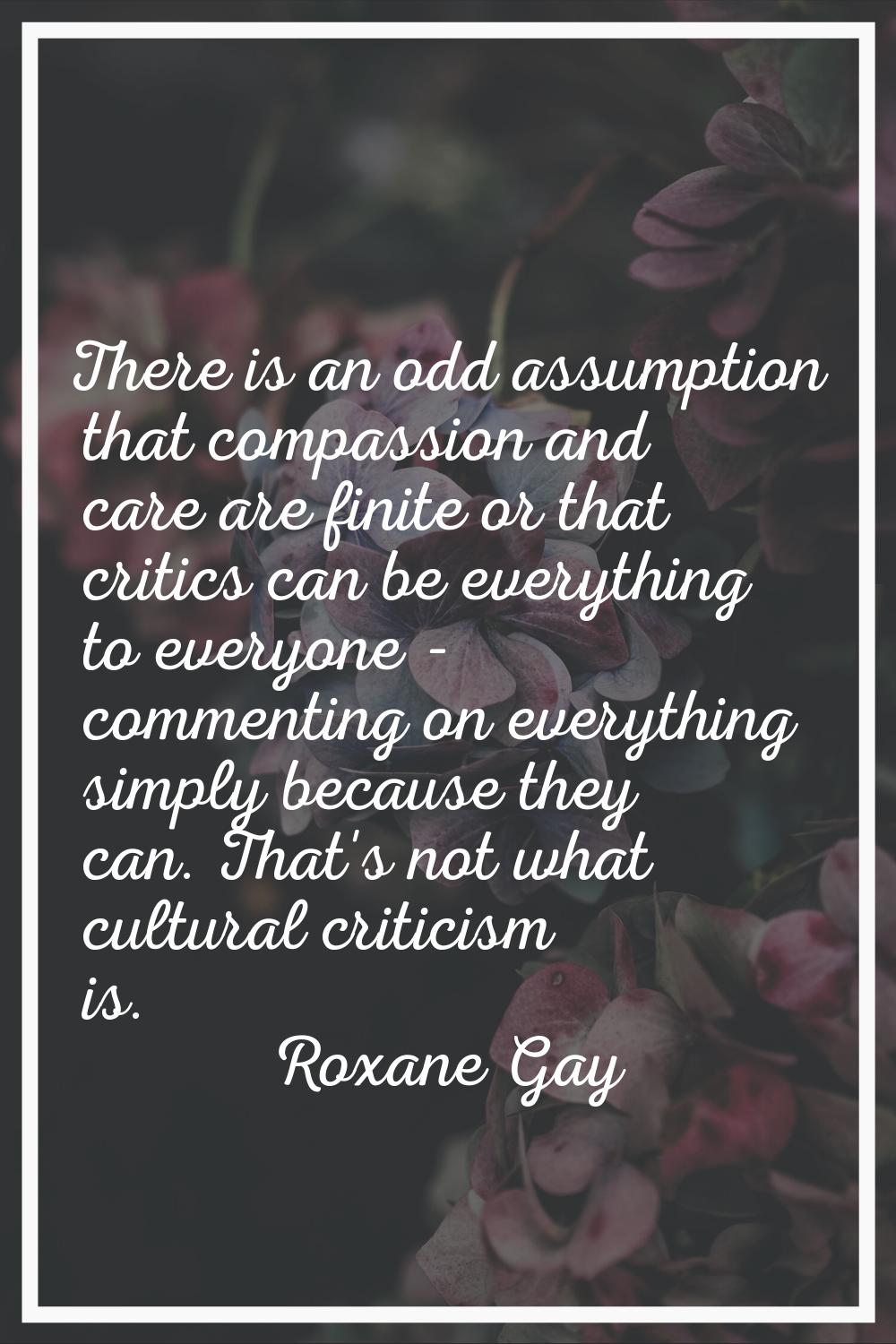 There is an odd assumption that compassion and care are finite or that critics can be everything to