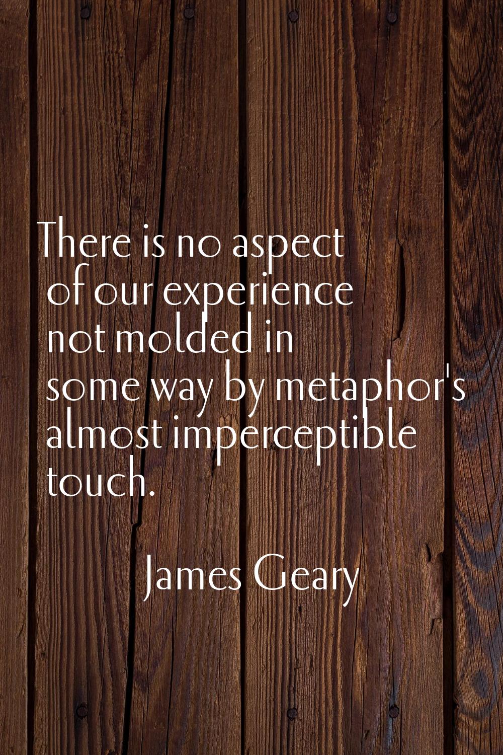 There is no aspect of our experience not molded in some way by metaphor's almost imperceptible touc