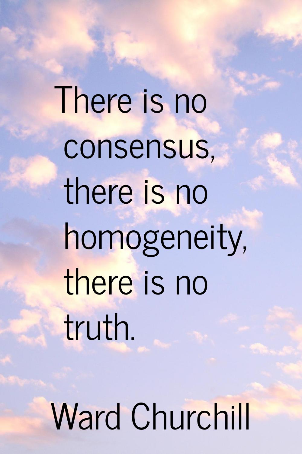 There is no consensus, there is no homogeneity, there is no truth.