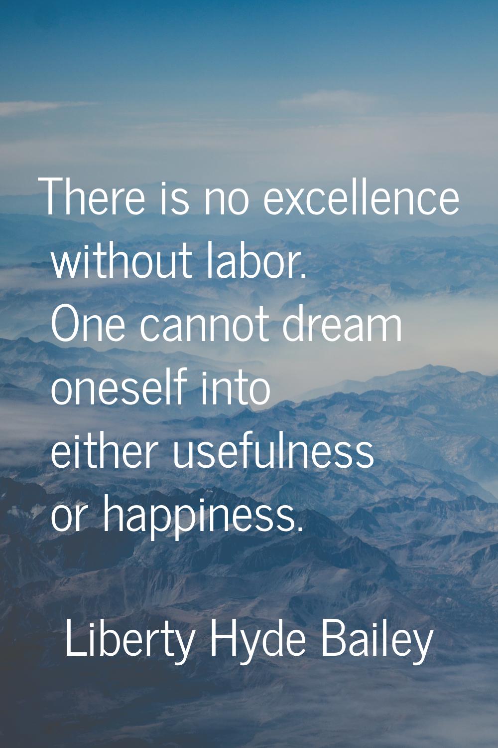 There is no excellence without labor. One cannot dream oneself into either usefulness or happiness.