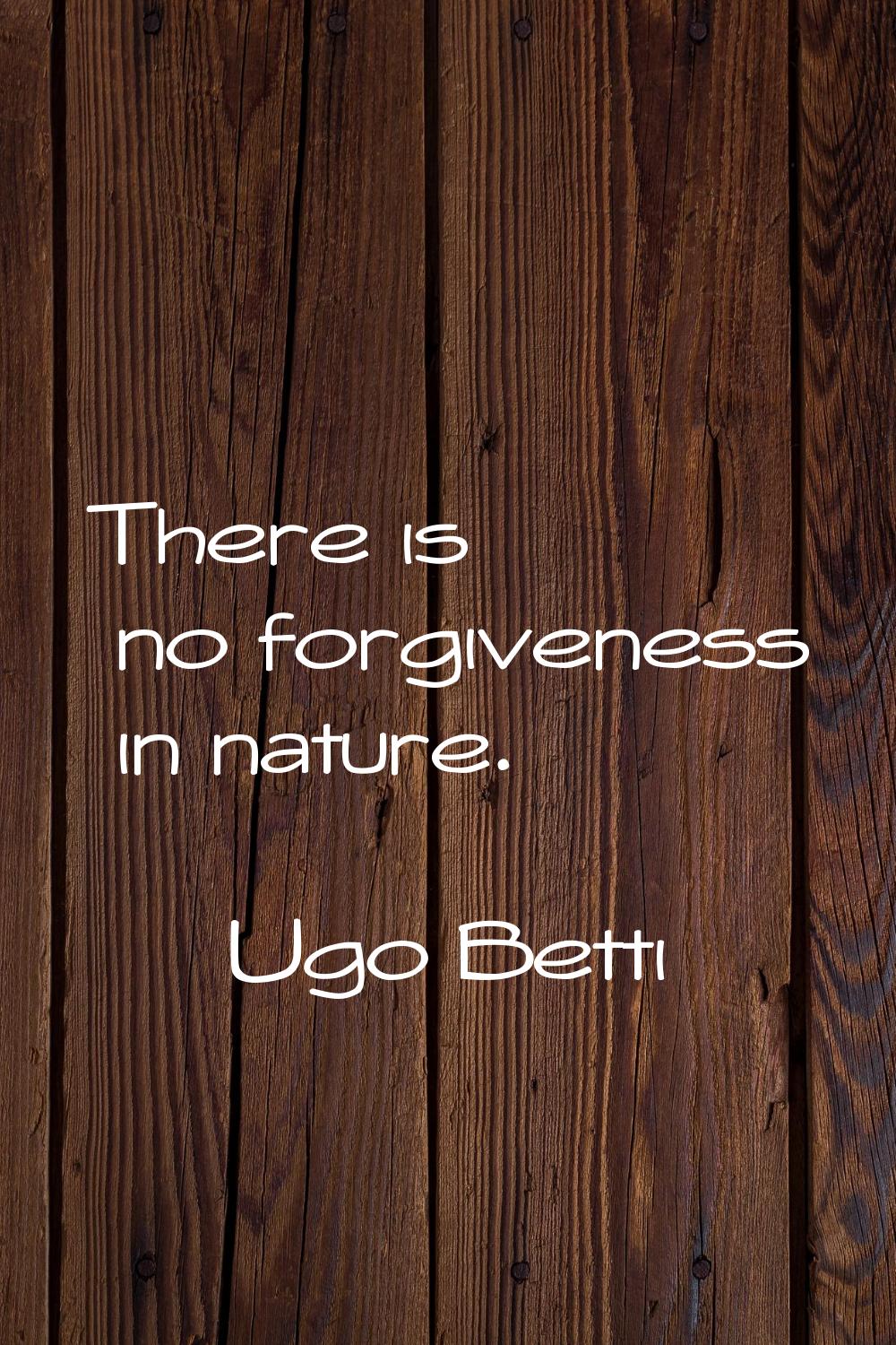 There is no forgiveness in nature.