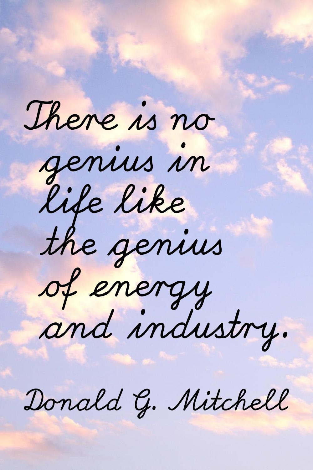 There is no genius in life like the genius of energy and industry.