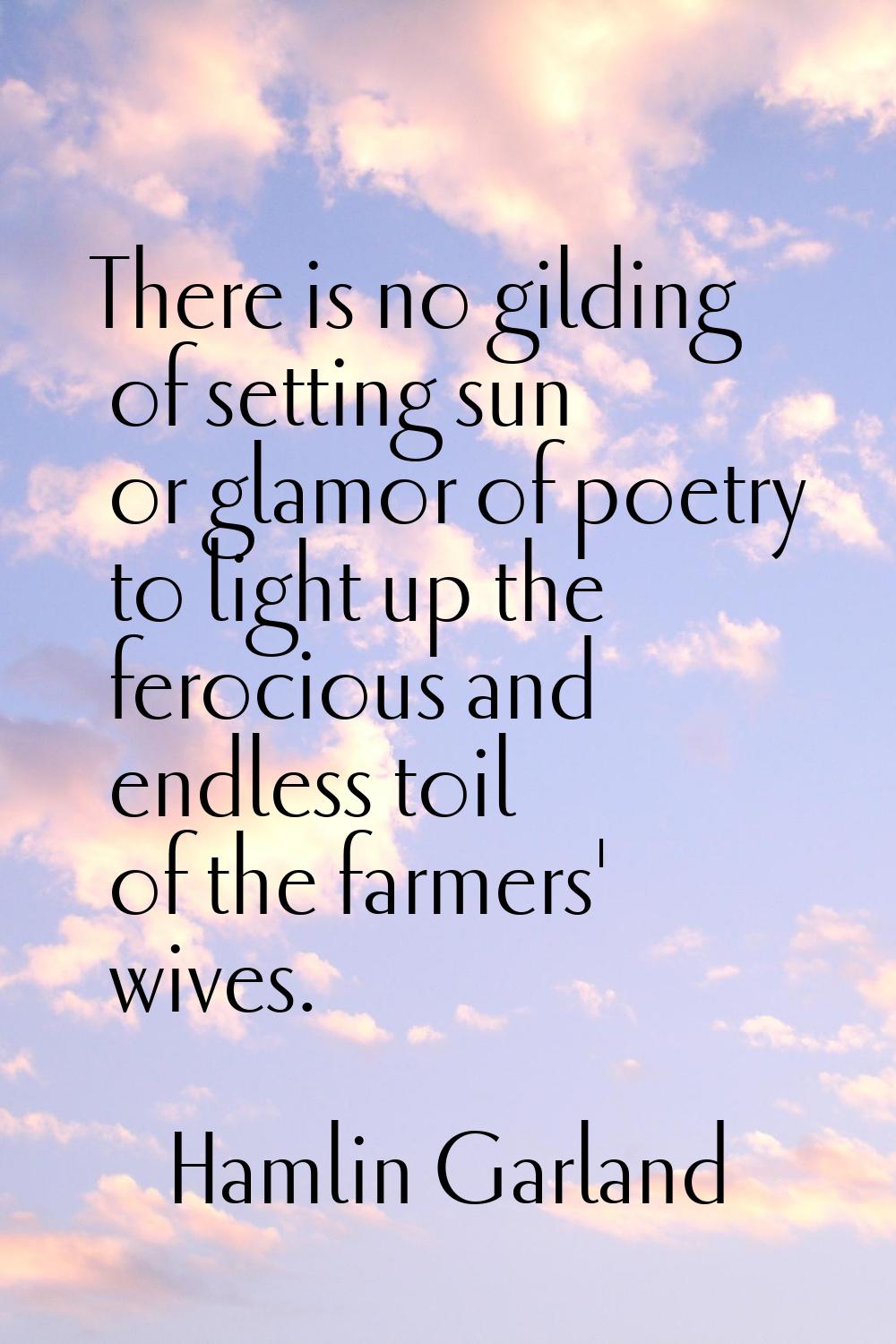 There is no gilding of setting sun or glamor of poetry to light up the ferocious and endless toil o