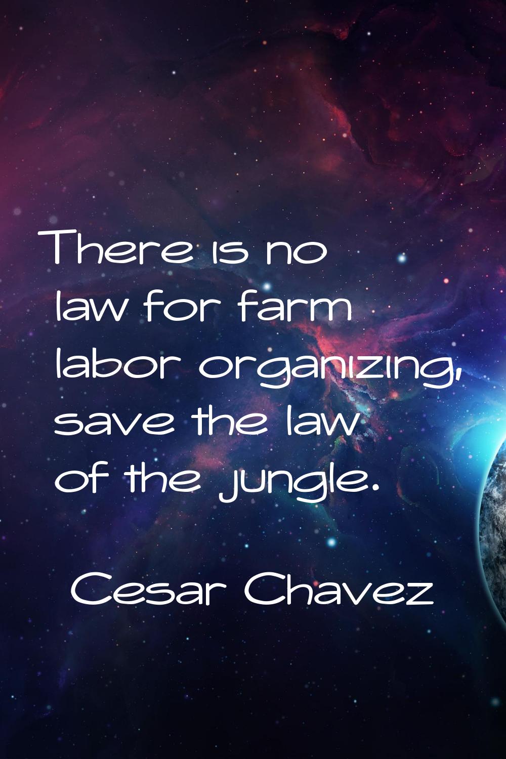 There is no law for farm labor organizing, save the law of the jungle.