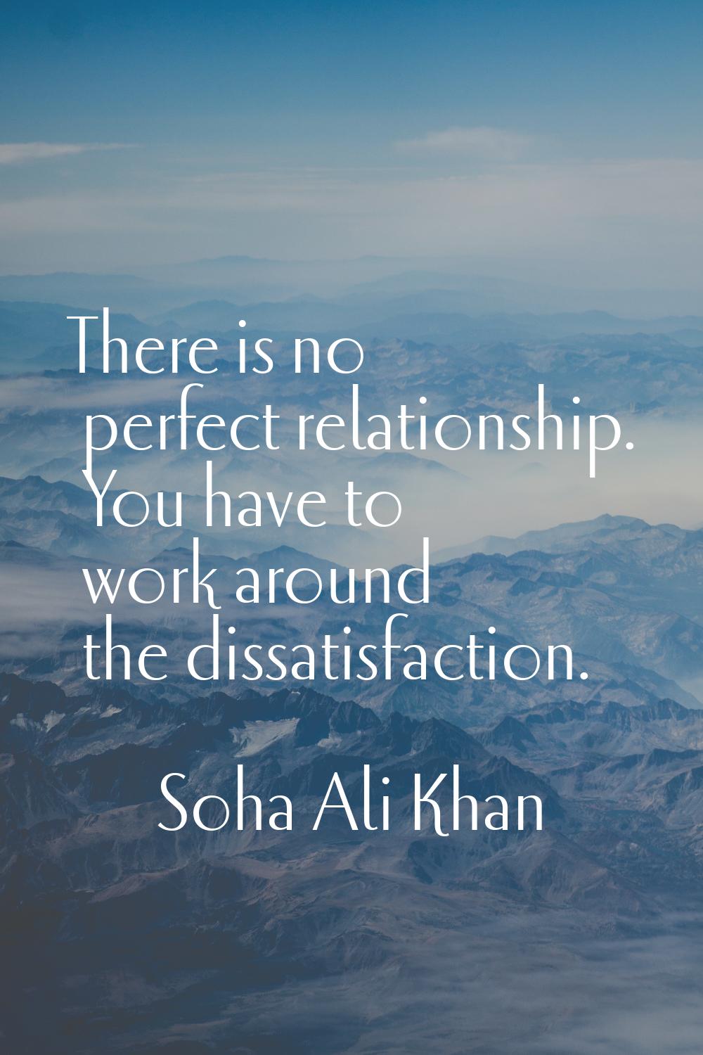 There is no perfect relationship. You have to work around the dissatisfaction.
