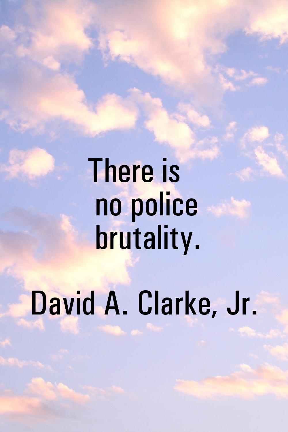 There is no police brutality.