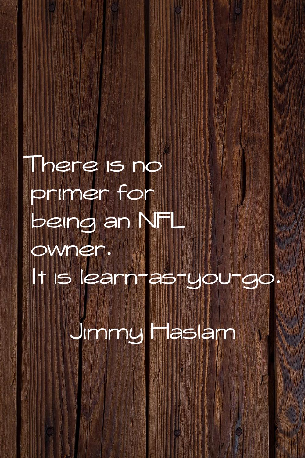 There is no primer for being an NFL owner. It is learn-as-you-go.