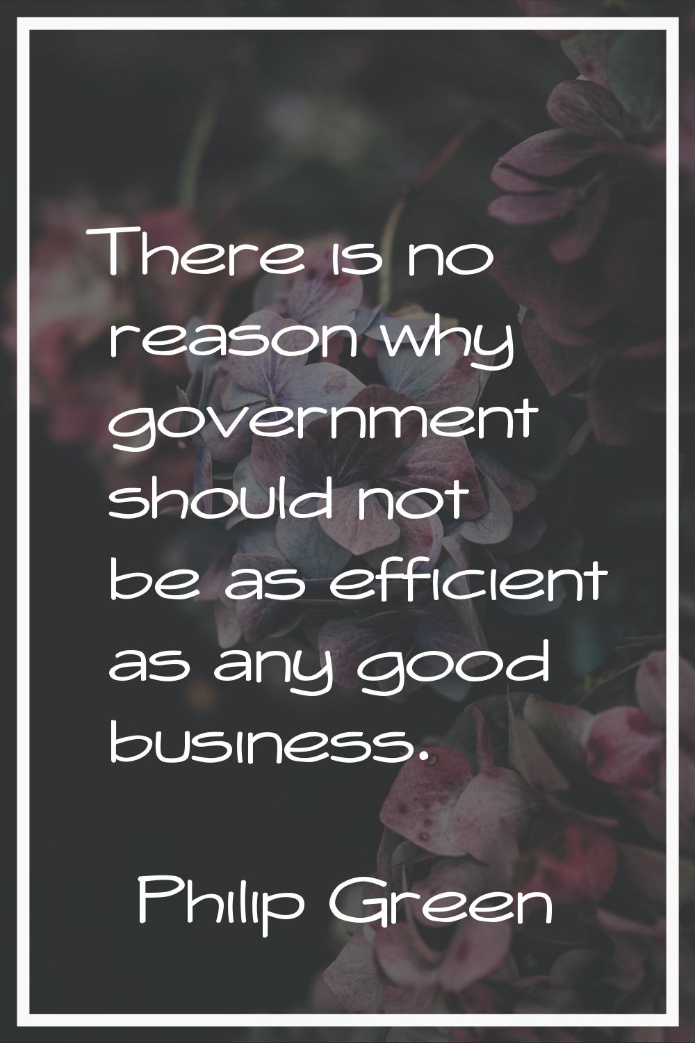 There is no reason why government should not be as efficient as any good business.