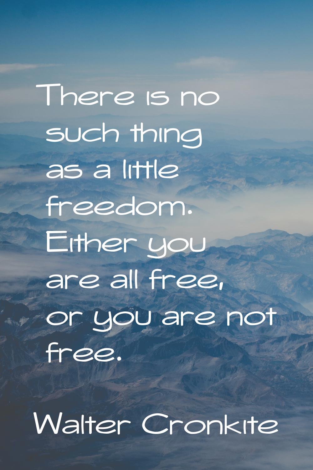 There is no such thing as a little freedom. Either you are all free, or you are not free.