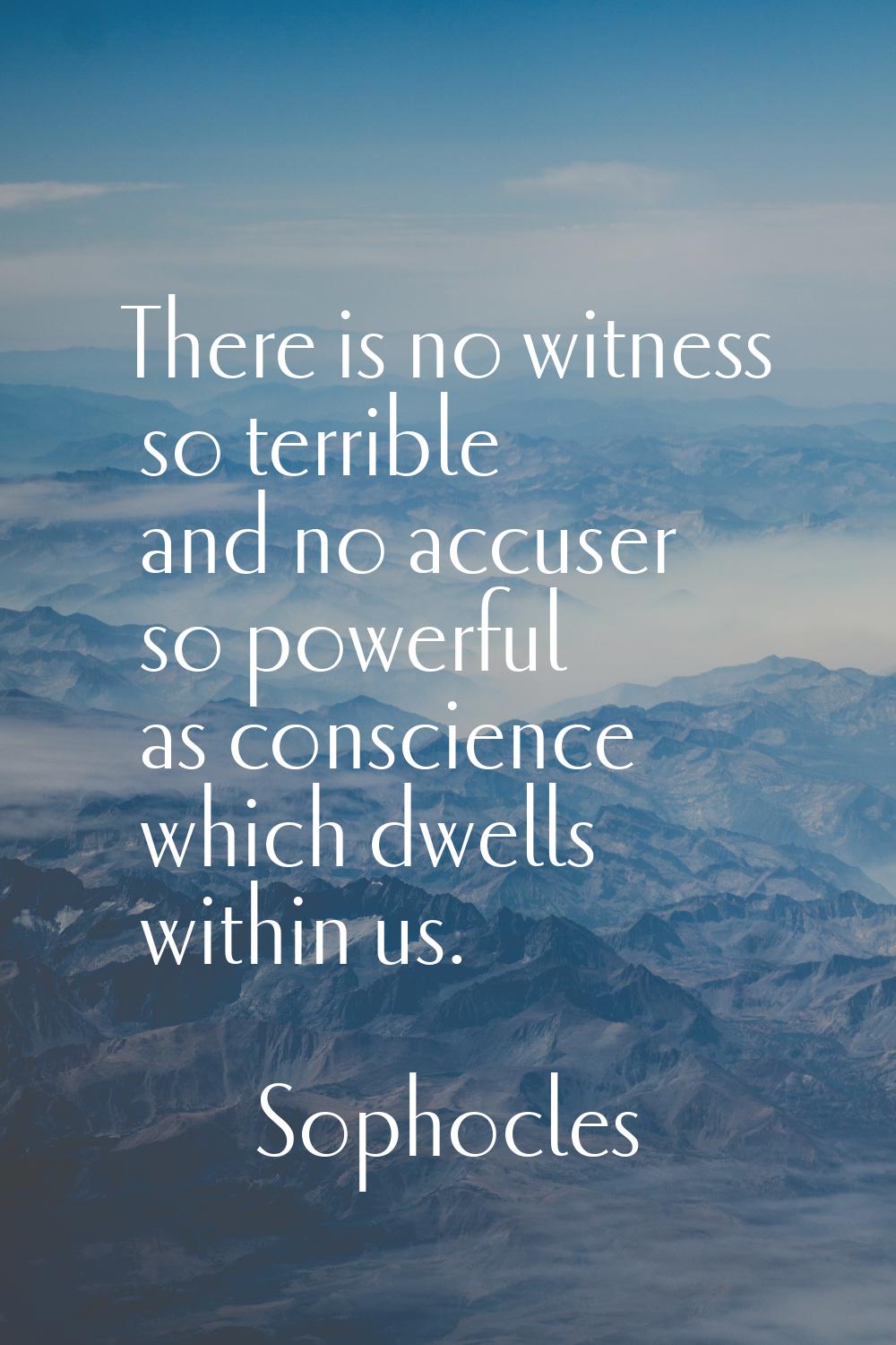 There is no witness so terrible and no accuser so powerful as conscience which dwells within us.