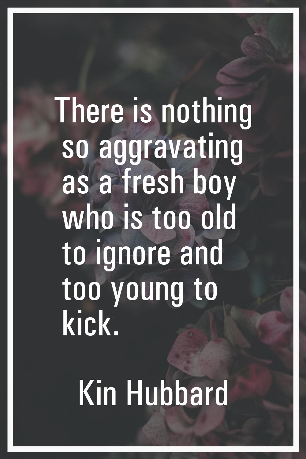 There is nothing so aggravating as a fresh boy who is too old to ignore and too young to kick.