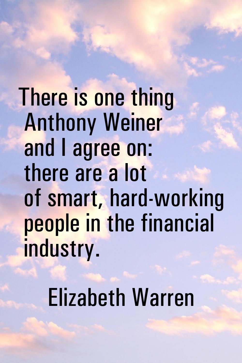 There is one thing Anthony Weiner and I agree on: there are a lot of smart, hard-working people in 