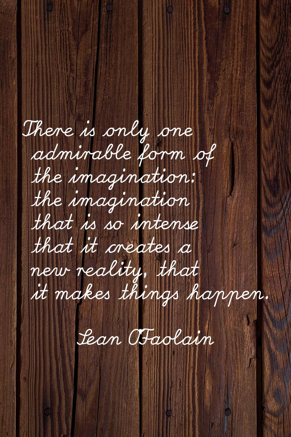 There is only one admirable form of the imagination: the imagination that is so intense that it cre