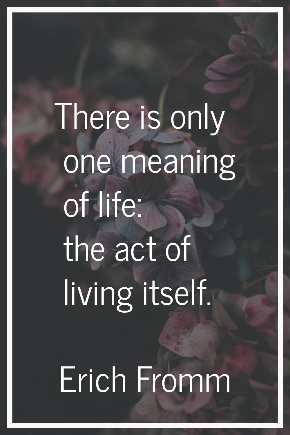 There is only one meaning of life: the act of living itself.