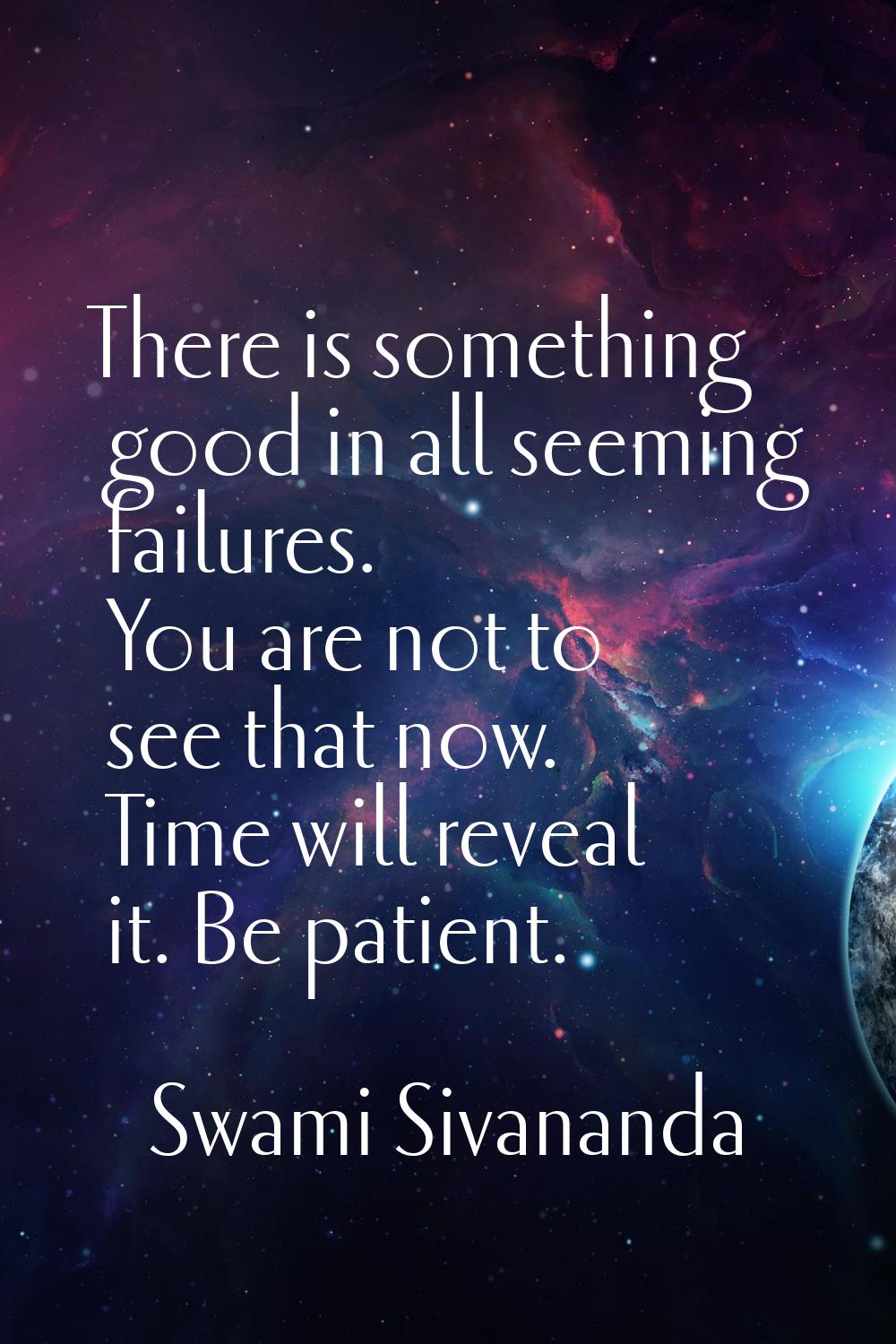 There is something good in all seeming failures. You are not to see that now. Time will reveal it. 