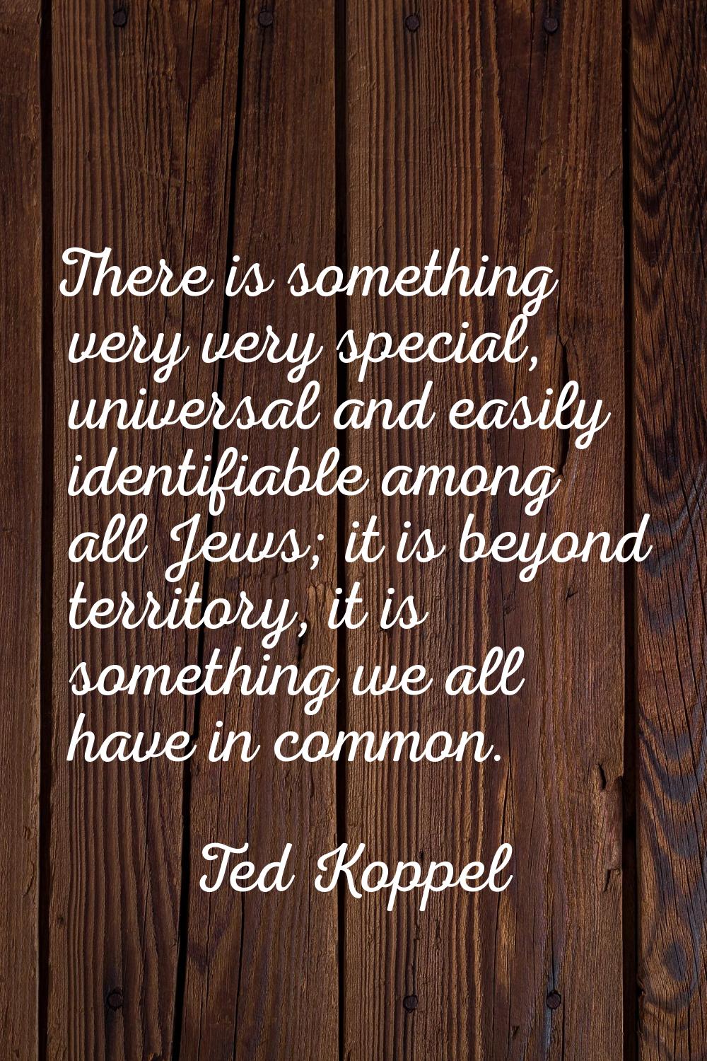 There is something very very special, universal and easily identifiable among all Jews; it is beyon
