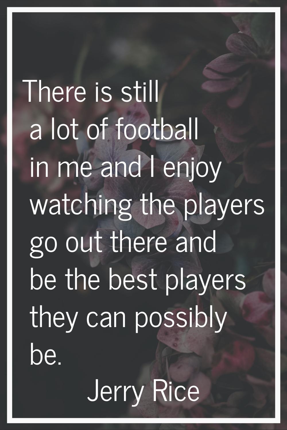 There is still a lot of football in me and I enjoy watching the players go out there and be the bes