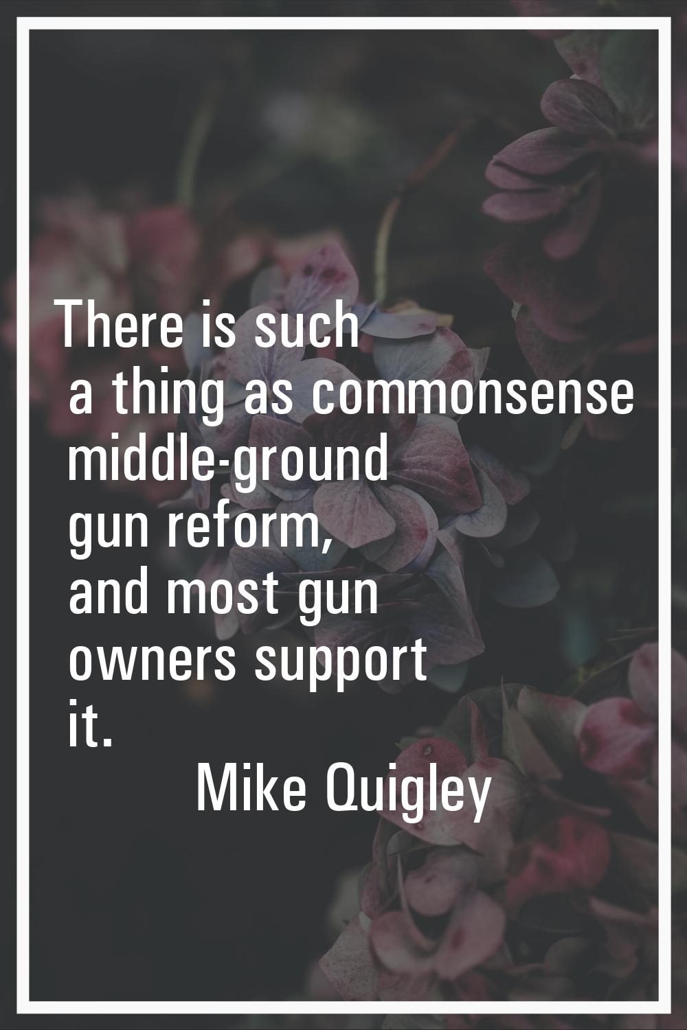 There is such a thing as commonsense middle-ground gun reform, and most gun owners support it.