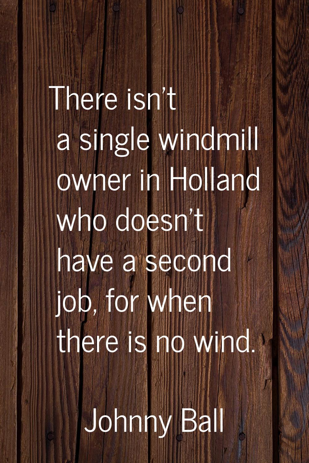 There isn't a single windmill owner in Holland who doesn't have a second job, for when there is no 