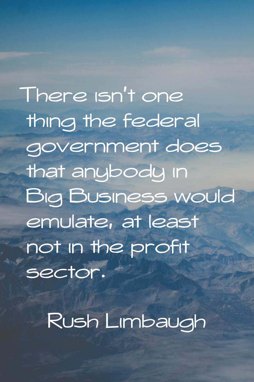 There isn't one thing the federal government does that anybody in Big Business would emulate, at le