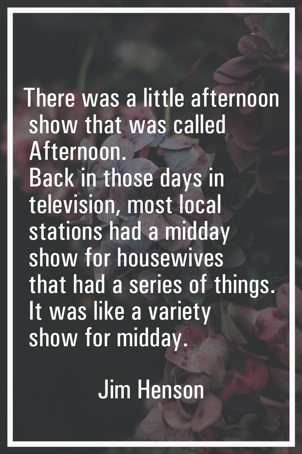 There was a little afternoon show that was called Afternoon. Back in those days in television, most