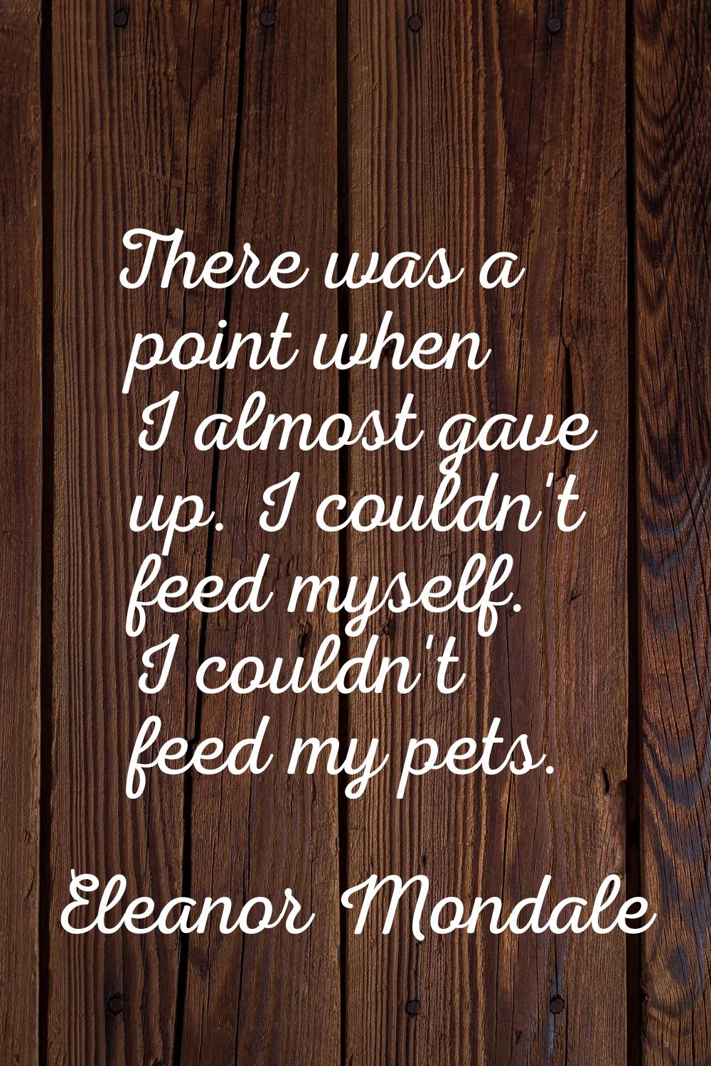 There was a point when I almost gave up. I couldn't feed myself. I couldn't feed my pets.