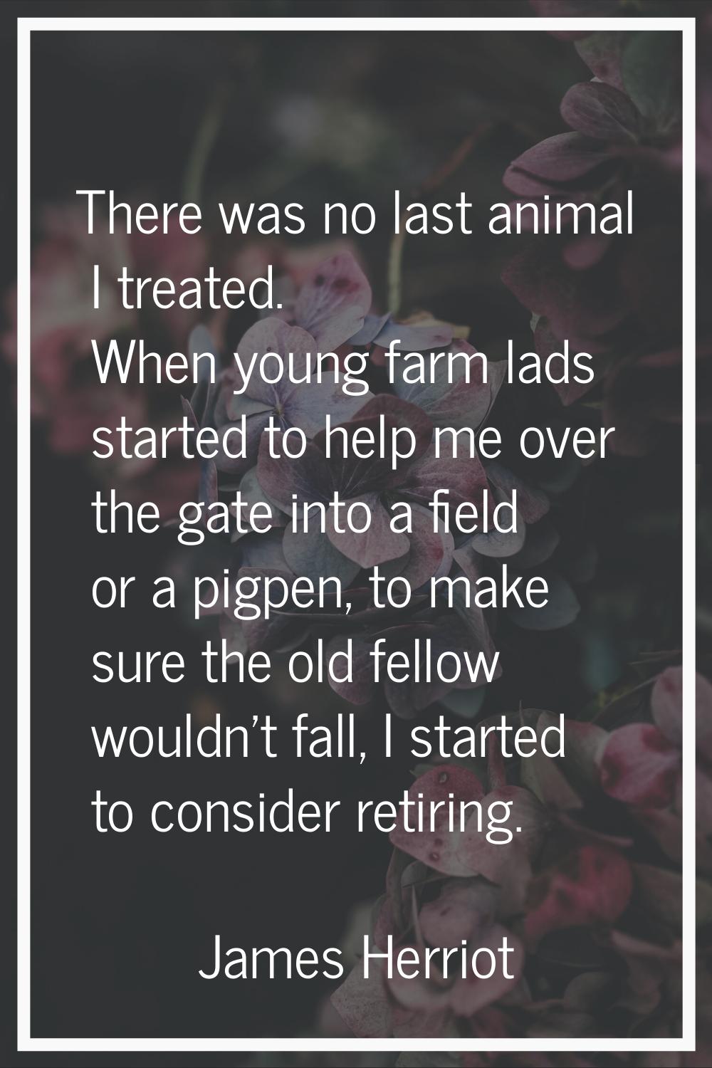 There was no last animal I treated. When young farm lads started to help me over the gate into a fi