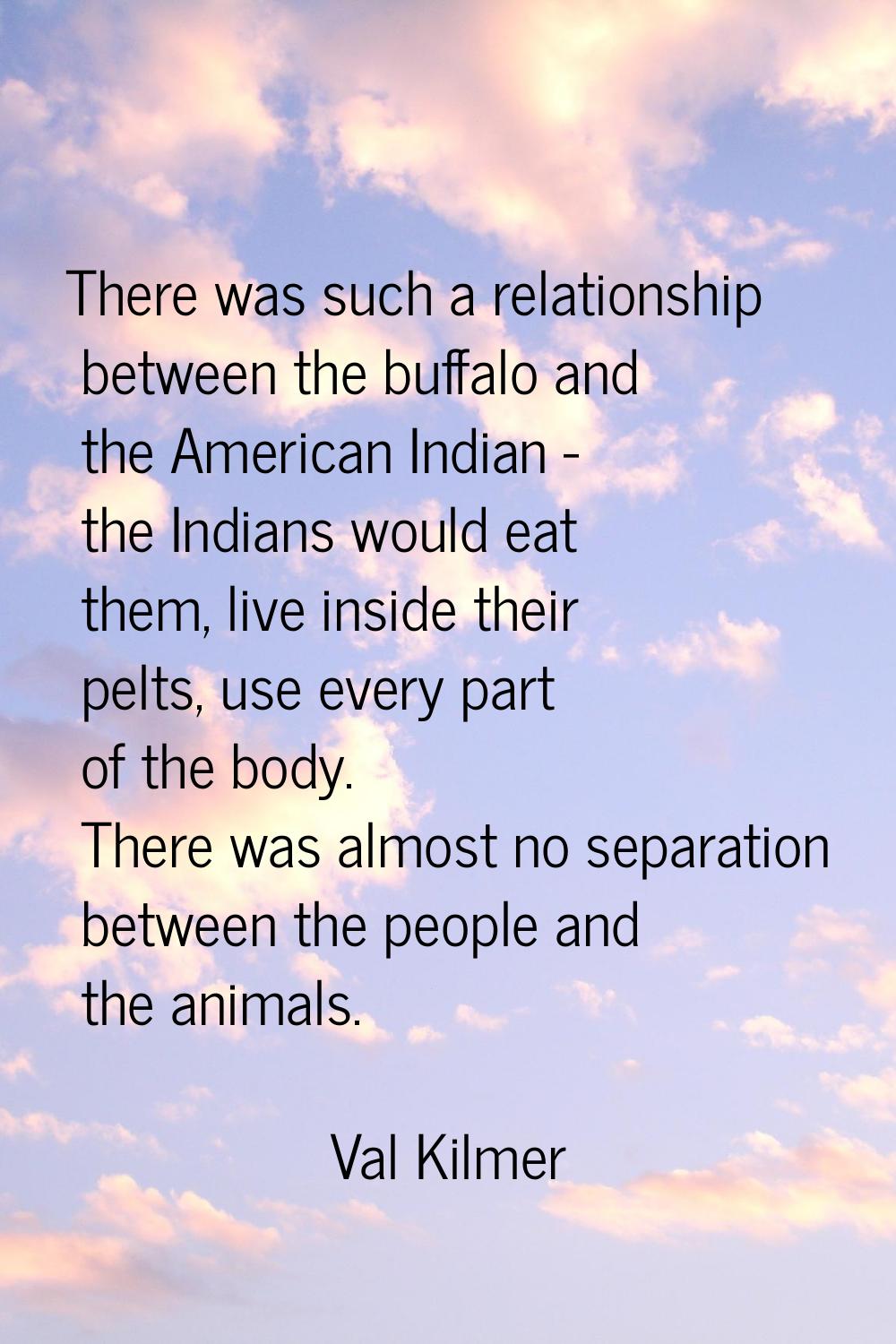 There was such a relationship between the buffalo and the American Indian - the Indians would eat t