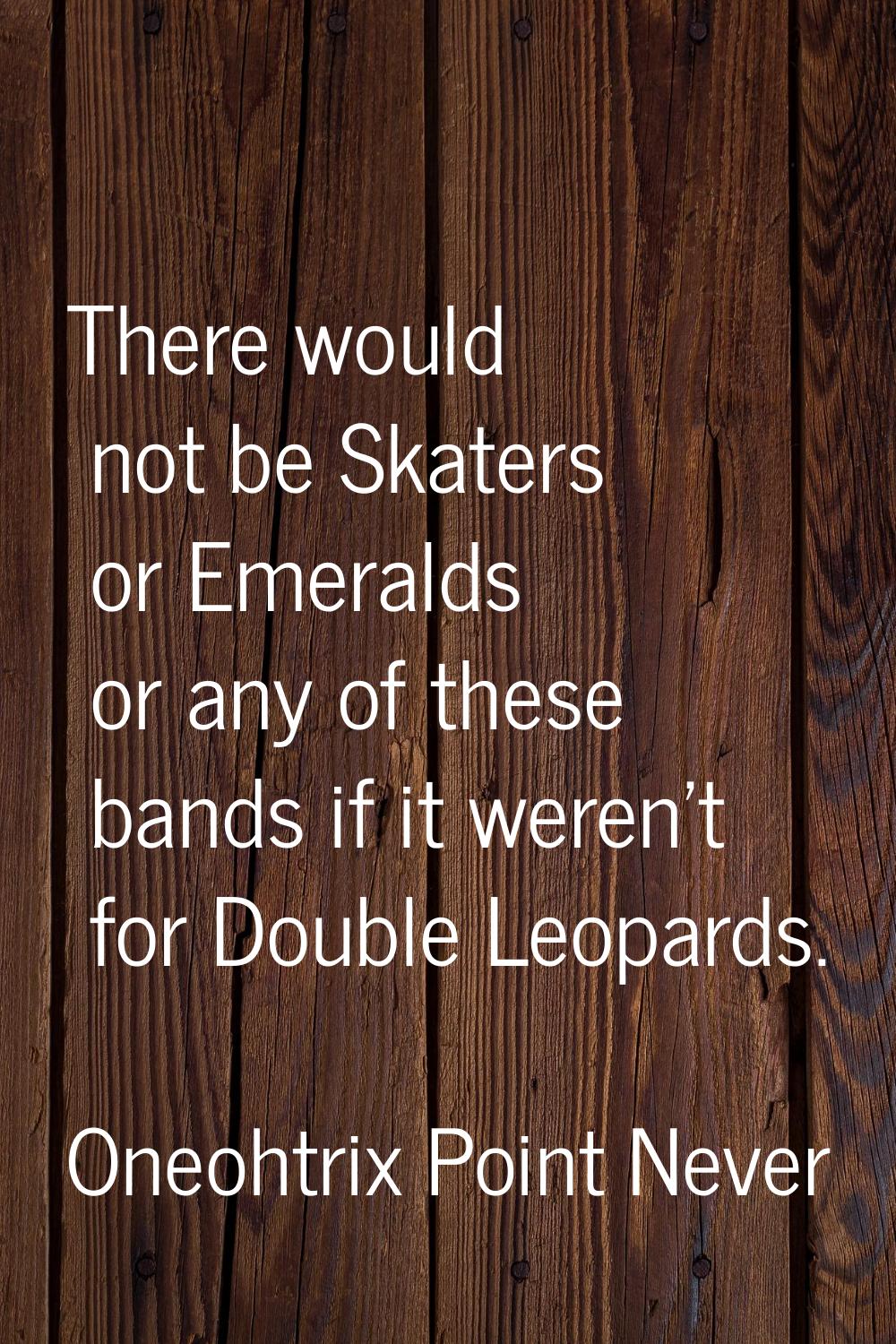 There would not be Skaters or Emeralds or any of these bands if it weren't for Double Leopards.