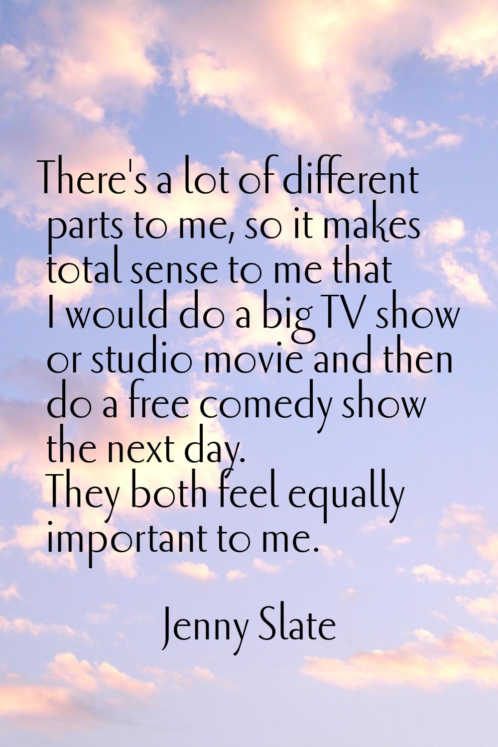 There's a lot of different parts to me, so it makes total sense to me that I would do a big TV show